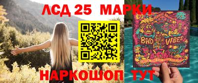 ешки Кингисепп