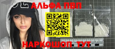 ешки Кингисепп