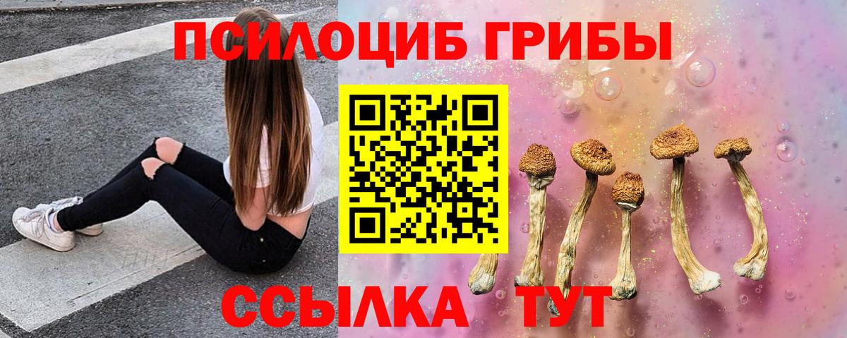 Чебаркуль  Псилоцибиновые грибы ЛСД  Вход с VPN 